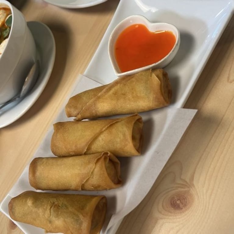 Savor Our Spring Rolls